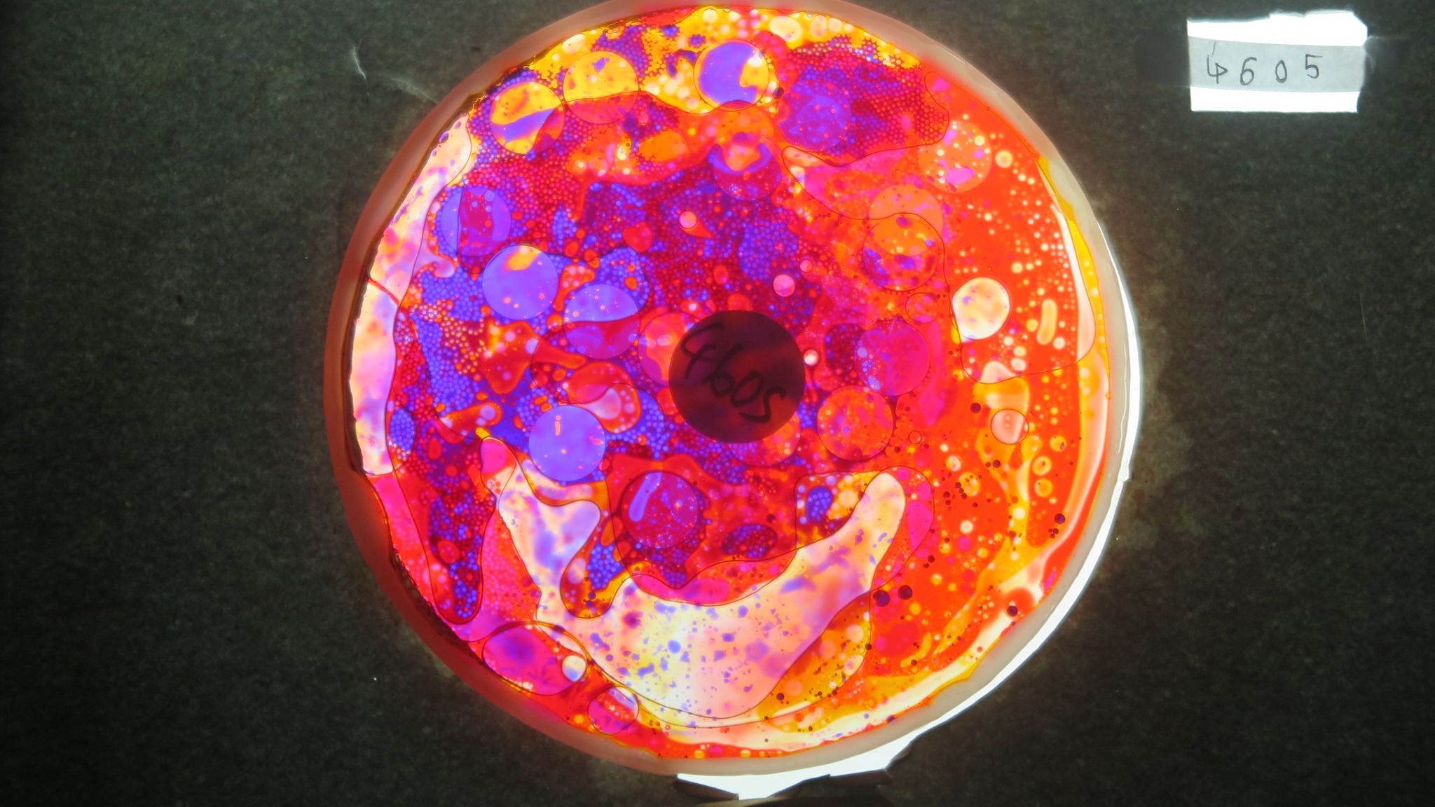 BV4605 bubble vision oil wheel